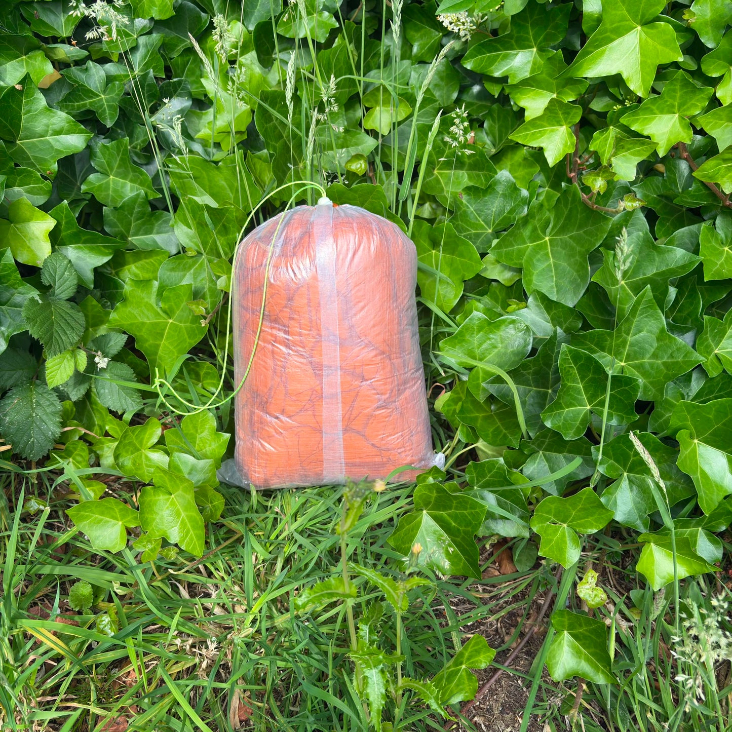 DCF Stuff Sack